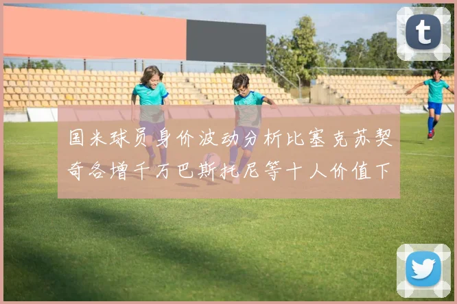 国米球员身价波动分析比塞克苏契奇各增千万巴斯托尼等十人价值下滑